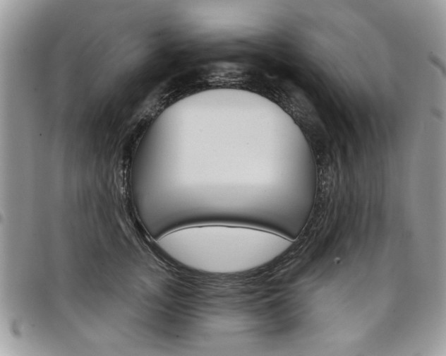 X0000097970755200803241019