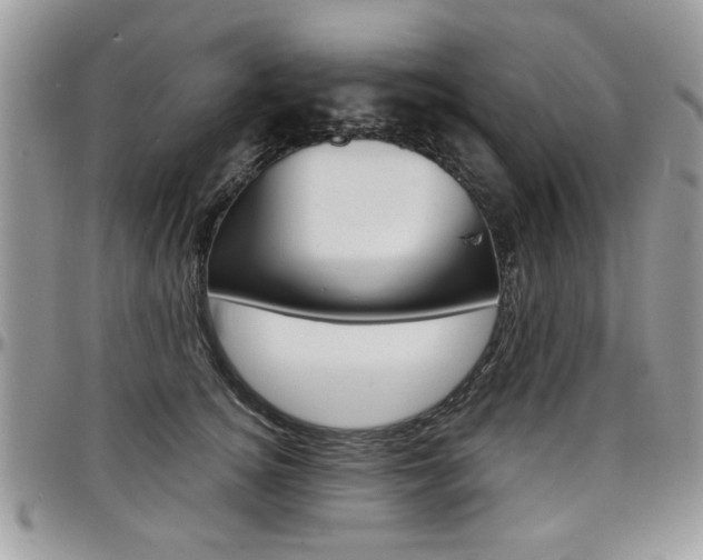 X0000097970756200803241019