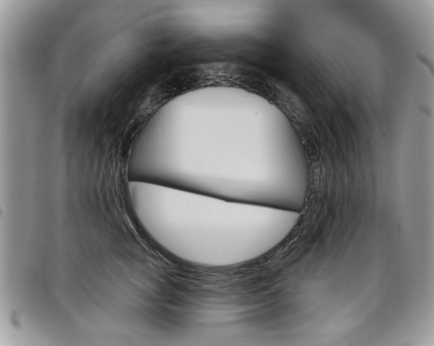 X0000097970757200803241019