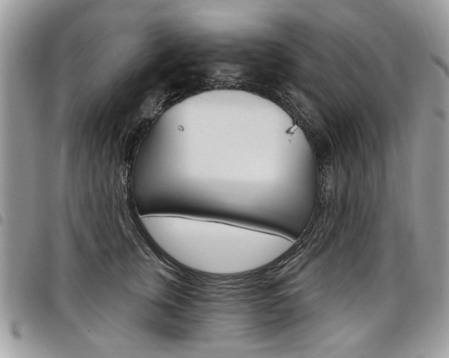 X0000097970759200803241019