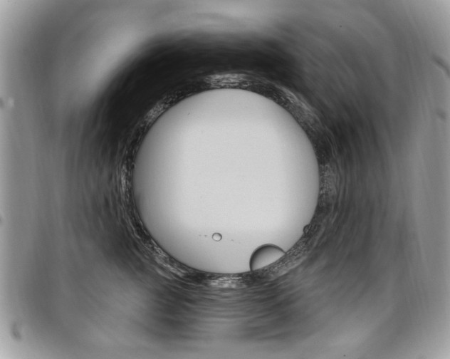 X0000097970761200803241019