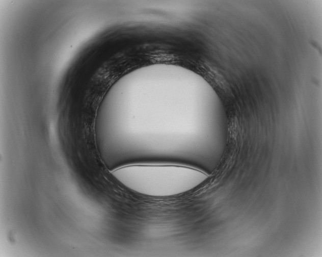 X0000097970763200803241019