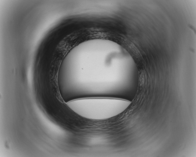 X0000097970764200803241019