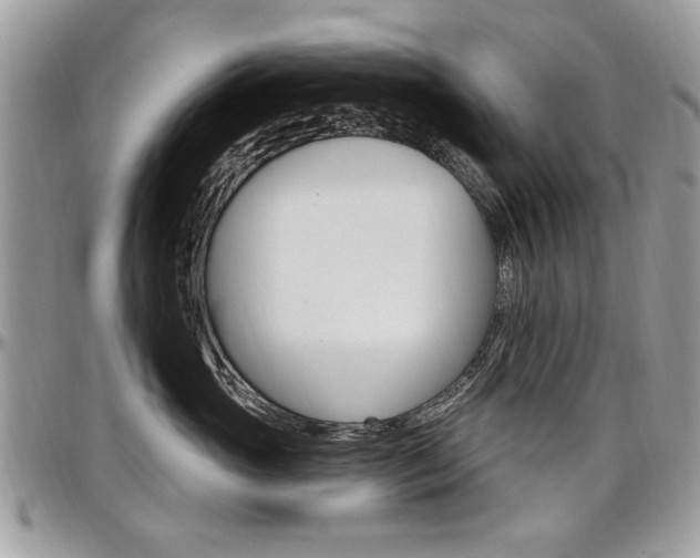 X0000097970765200803241019