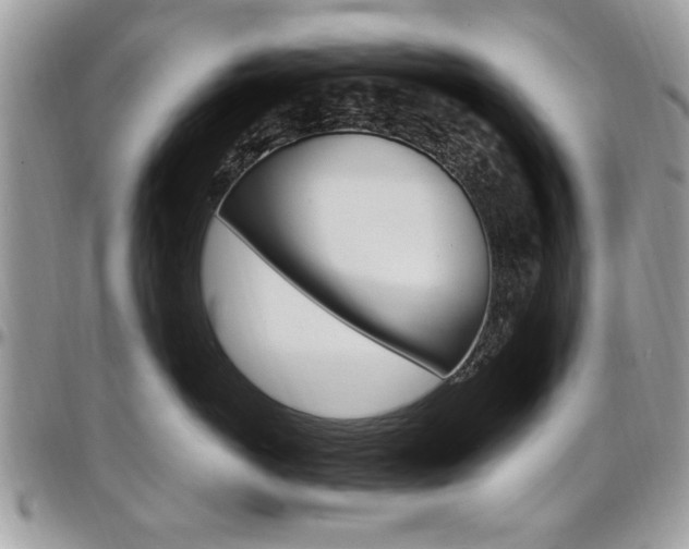 X0000097970766200803241019