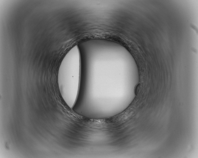 X0000097970768200803241019