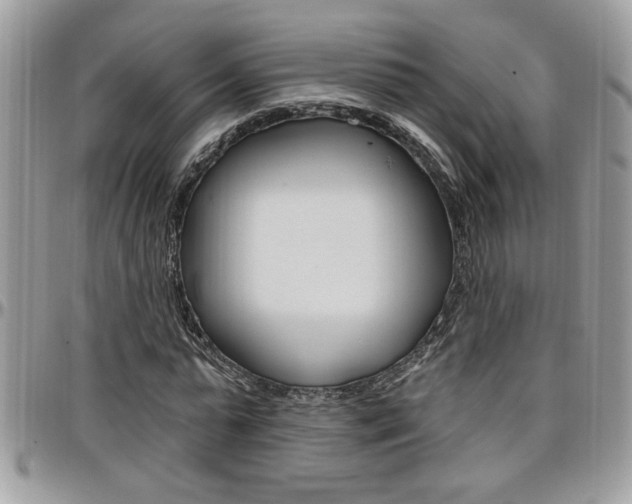 X0000097970775200803241018