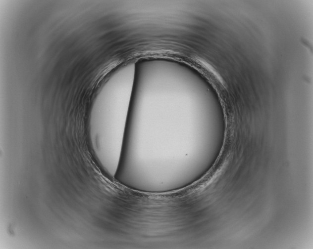 X0000097970777200803241018