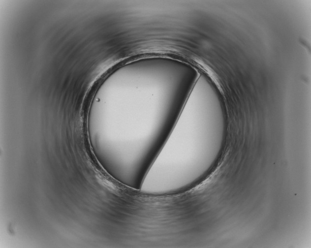 X0000097970779200803241018