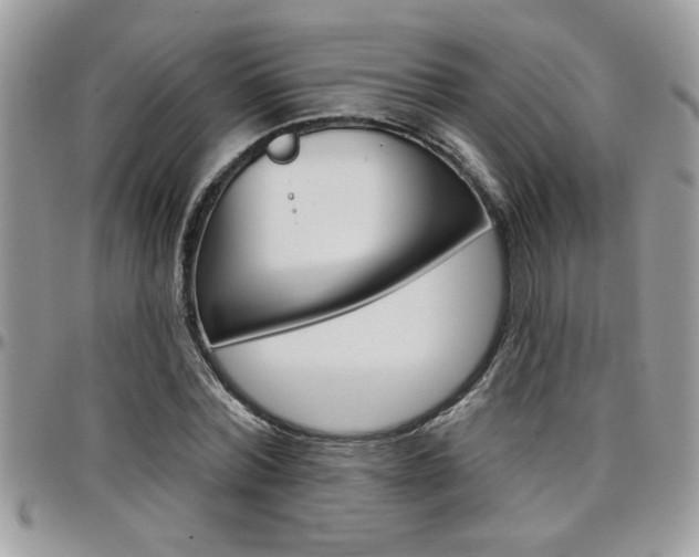 X0000097970780200803241018