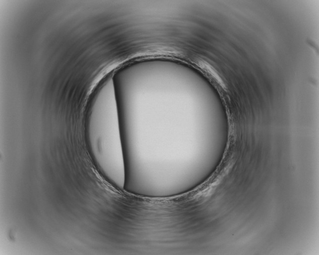 X0000097970781200803241018