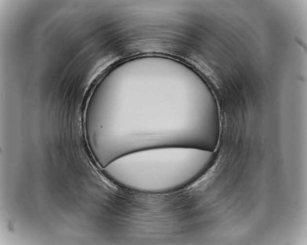 X0000097970782200803241018