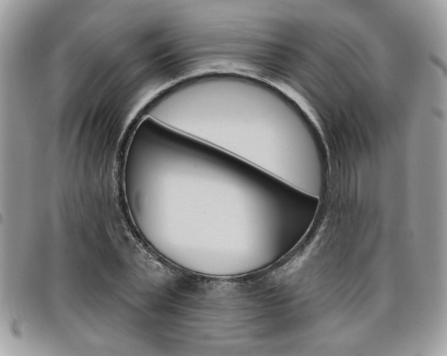 X0000097970783200803241018