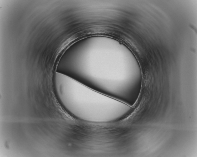 X0000097970786200803241018