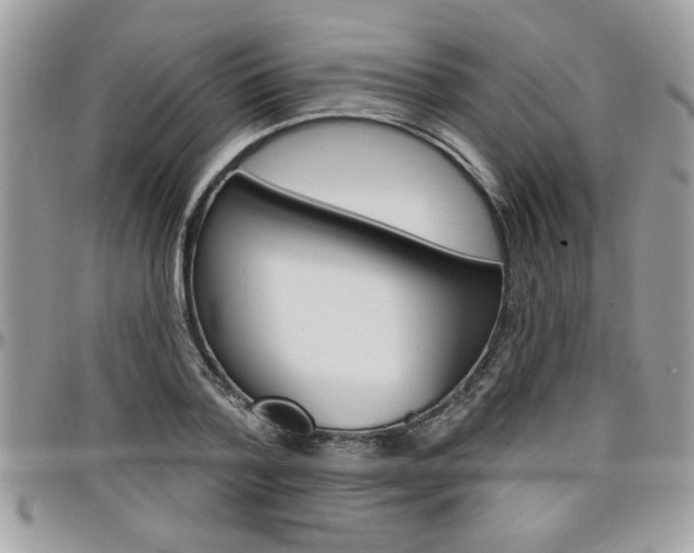 X0000097970788200803241018