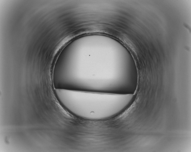 X0000097970789200803241018