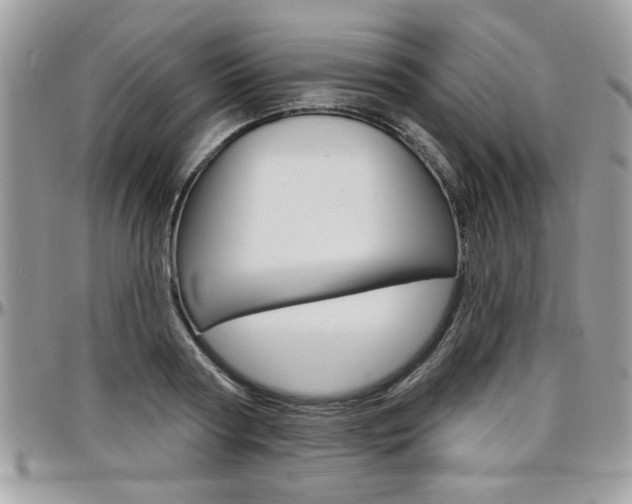 X0000097970794200803241018