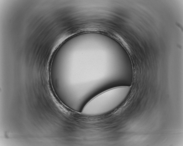 X0000097970795200803241018