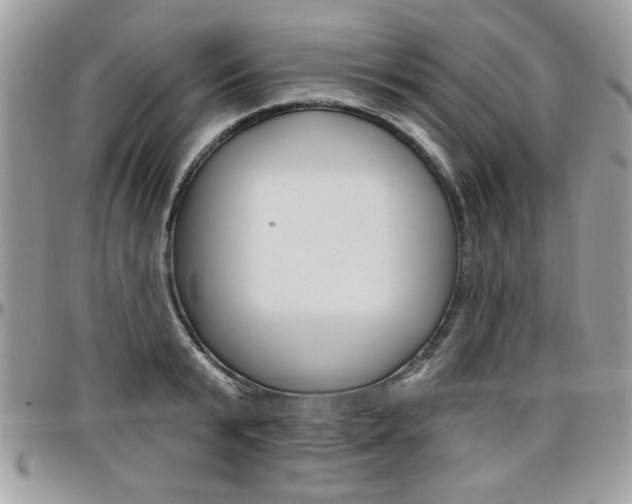 X0000097970799200803241018