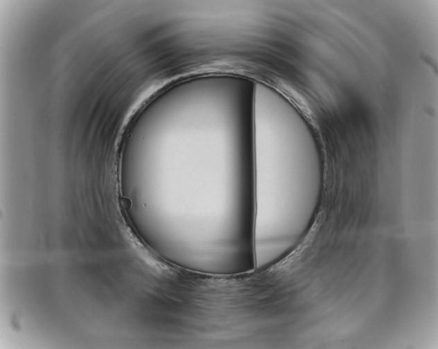 X0000097970800200803241018