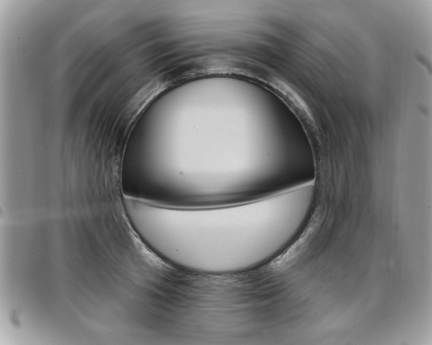 X0000097970801200803241018