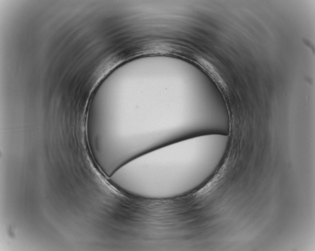 X0000097970802200803241018