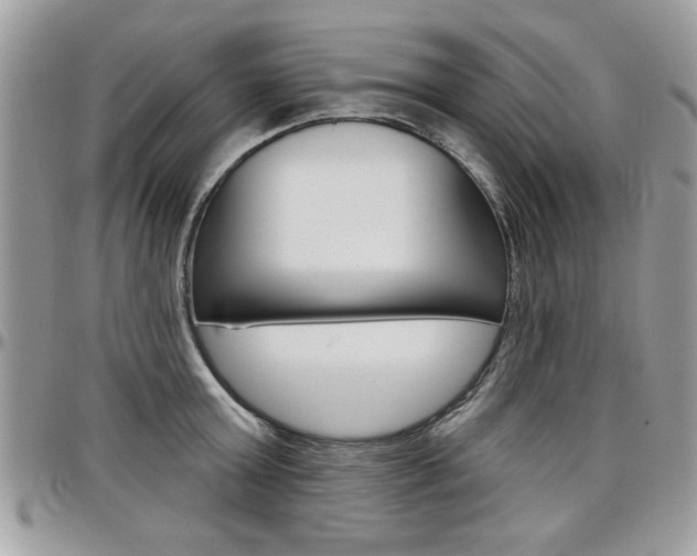X0000097970803200803241018