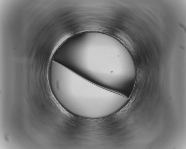 X0000097970804200803241018