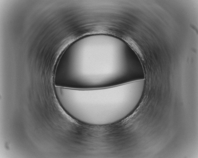 X0000097970805200803241018