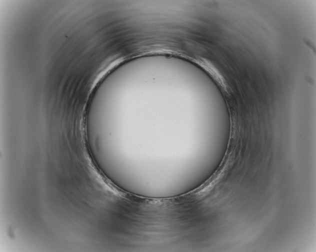 X0000097970806200803241018