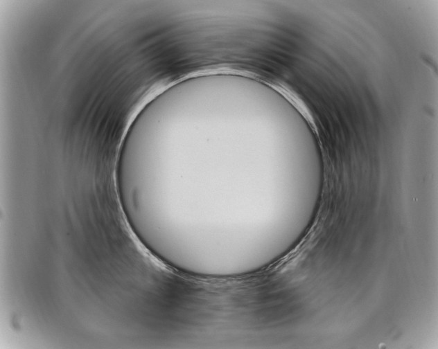 X0000097970813200803241018