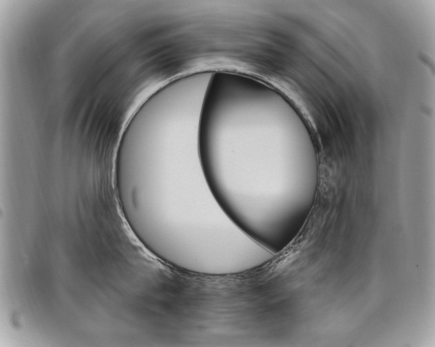 X0000097970815200803241018