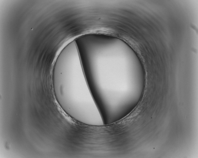 X0000097970816200803241018