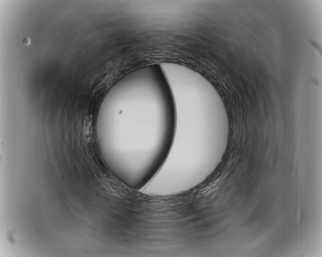 X0000097970818200803241017