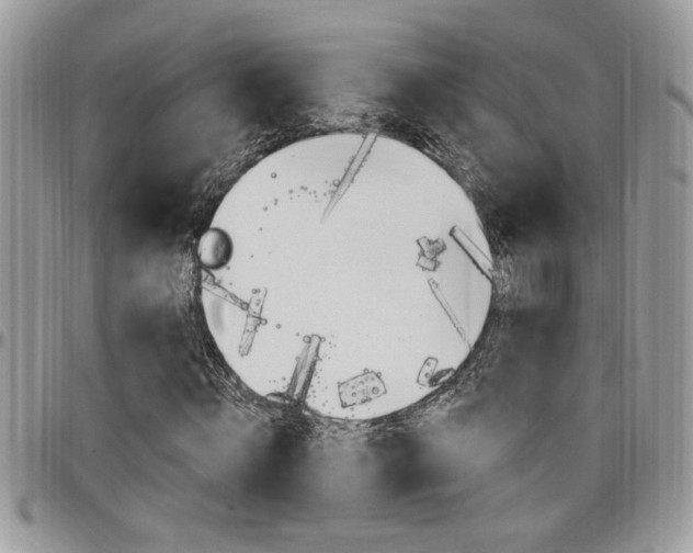 X0000097970820200803241017