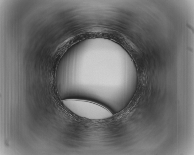 X0000097970821200803241017