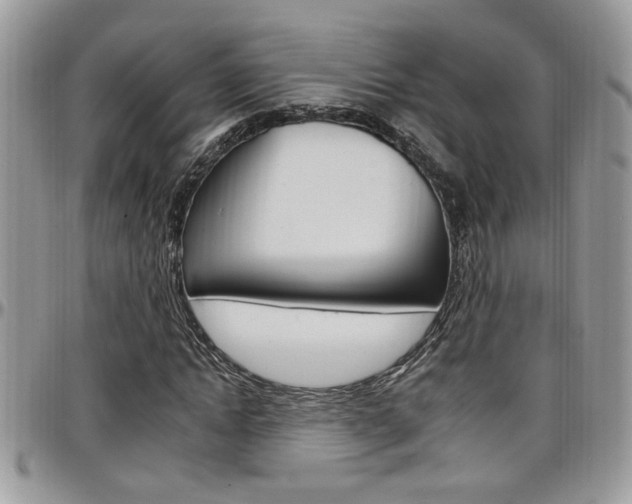 X0000097970822200803241017