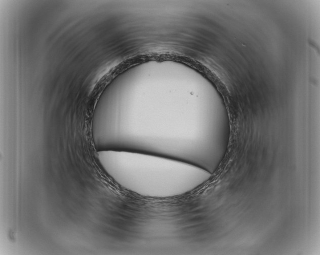 X0000097970823200803241017