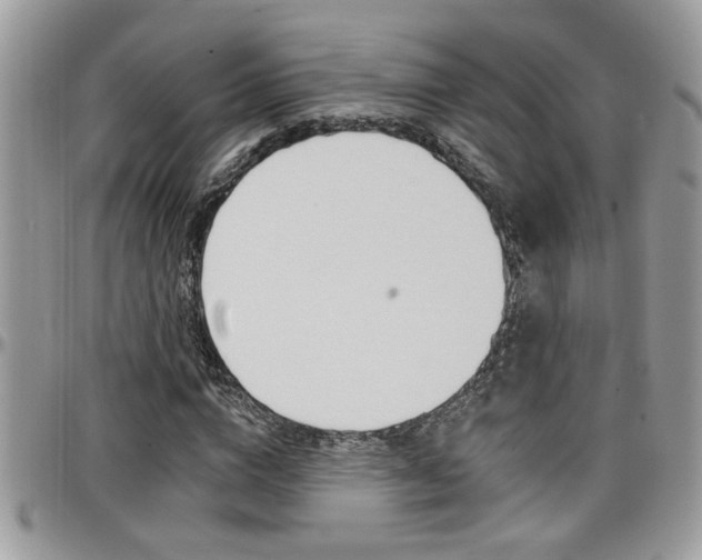 X0000097970824200803241017