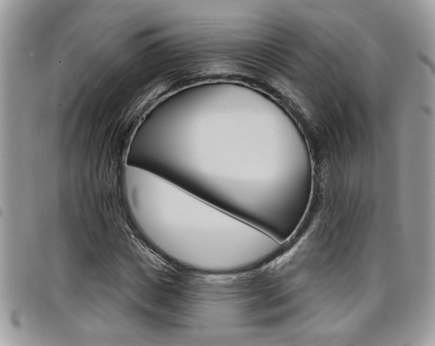 X0000097970825200803241017
