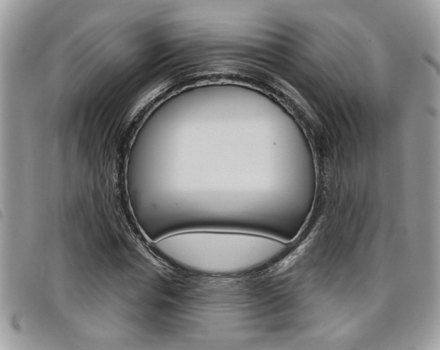 X0000097970826200803241017