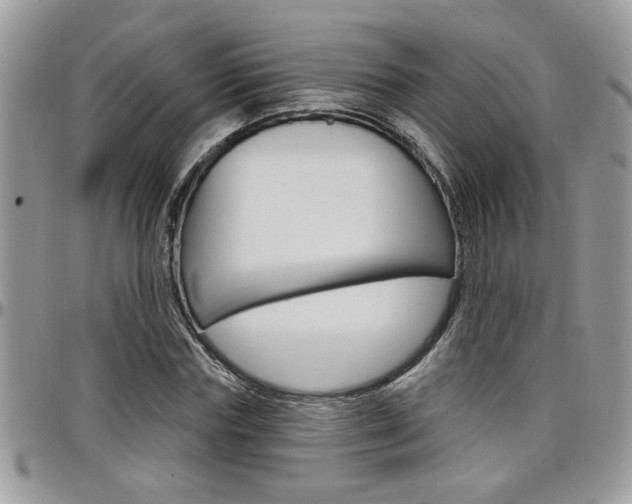 X0000097970827200803241017
