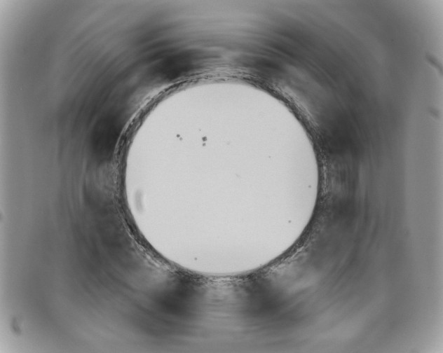 X0000097970828200803241017