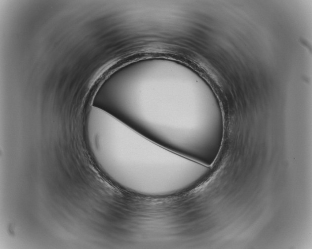 X0000097970829200803241017