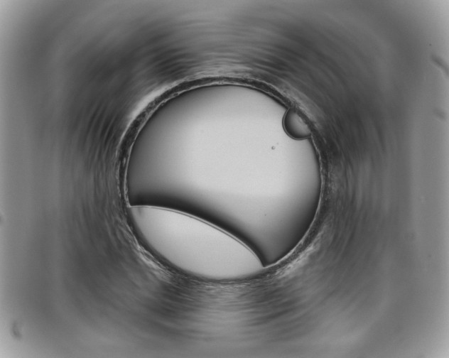 X0000097970830200803241017
