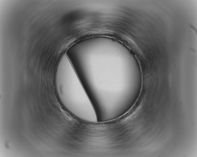 X0000097970833200803241017