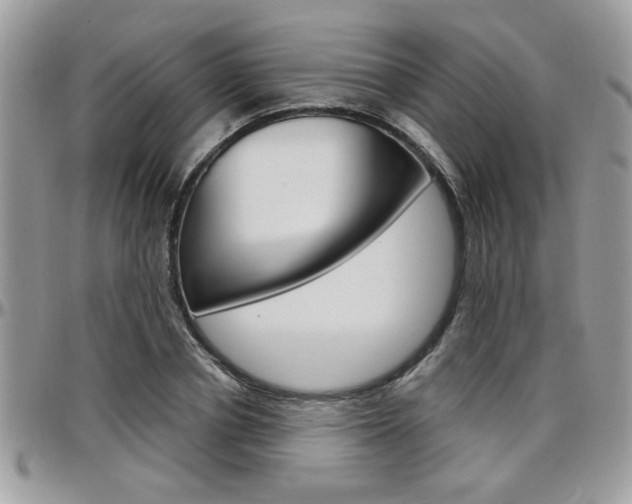 X0000097970834200803241017