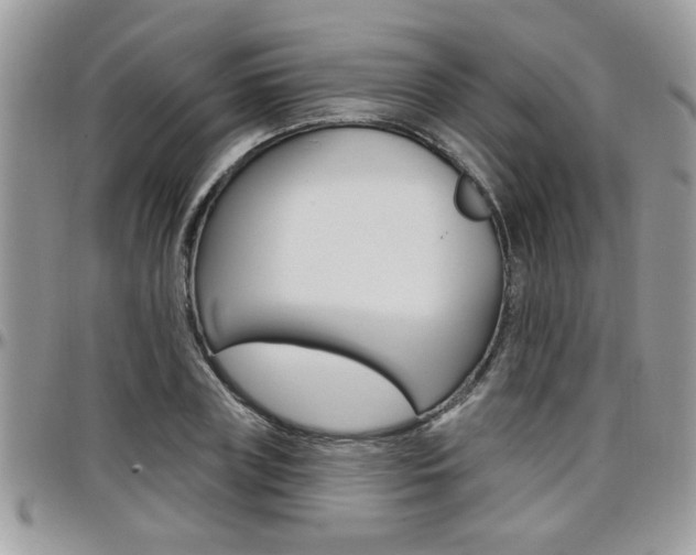 X0000097970835200803241017