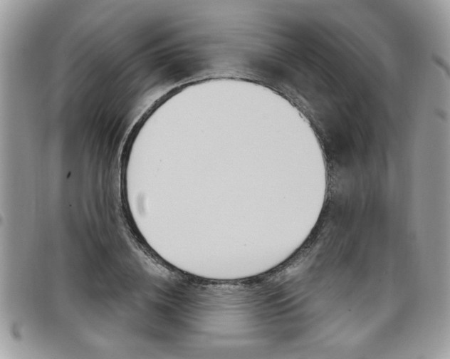 X0000097970836200803241017