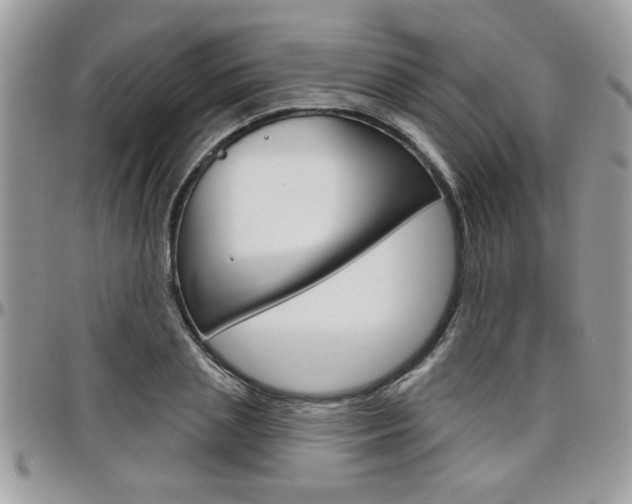 X0000097970837200803241017